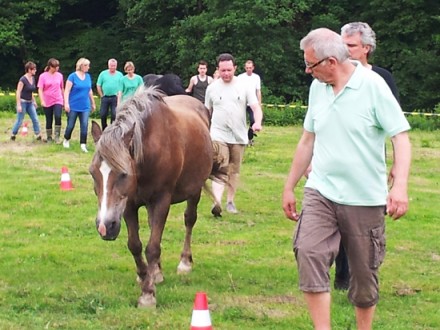 Spiegelen met paarden