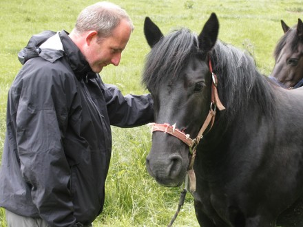 Spiegelen met paarden