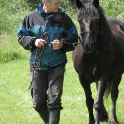 Brandsport-siegelen_paarden_03