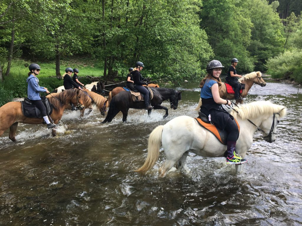 Paardrijden in de Ardennen